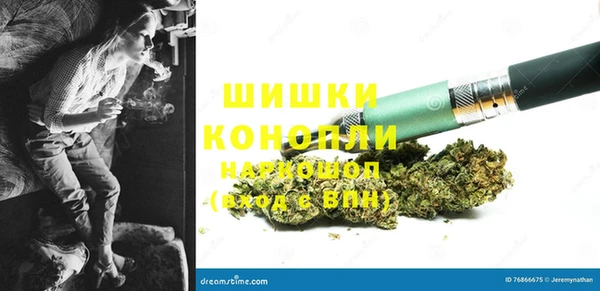 индика Баксан