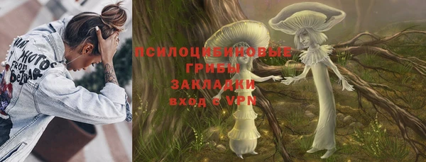 молекула духа Белокуриха