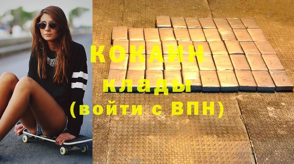 индика Баксан