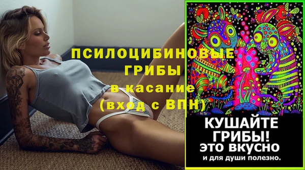 гидропоника Белоозёрский