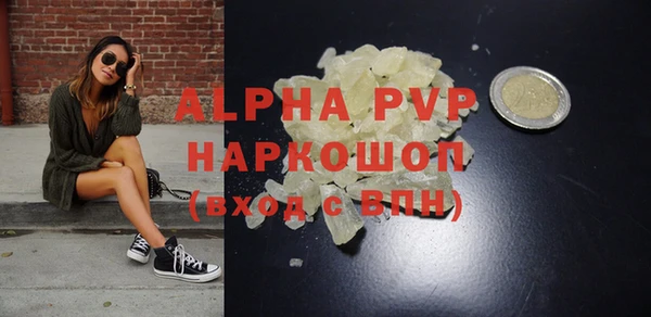 индика Баксан