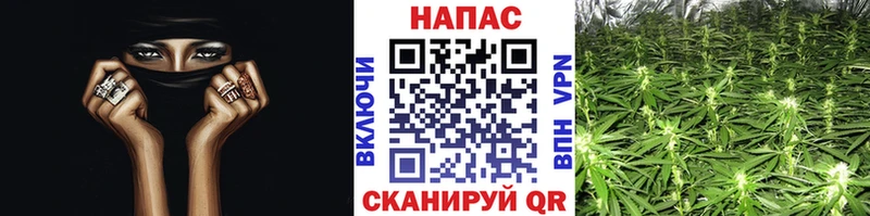Шишки марихуана марихуана Невель